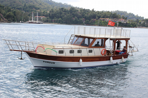 Özel günü birlik turlar